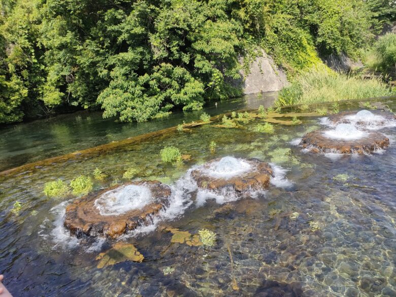 清住緑地の湧き水